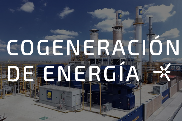 COGENERACIÓN DE ENERGÍA
