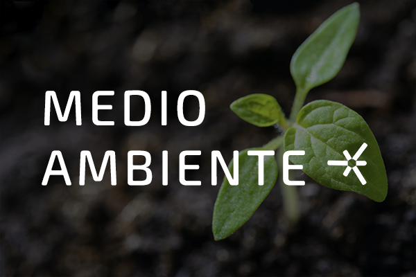 MEDIO AMBIENTE